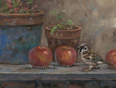 'Apples' Original Oil Painting by john Trickett