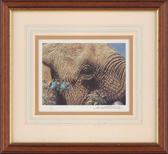 'As High as An Elephant's Eye' Ex-Display Print by Michael Kitchen-Hurle