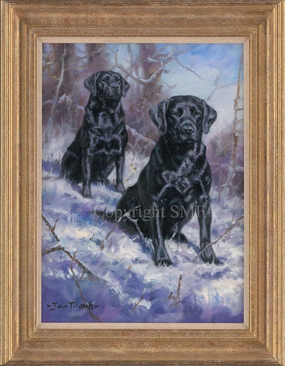 'At Attention' Original Black labrador Painting by John Trickett