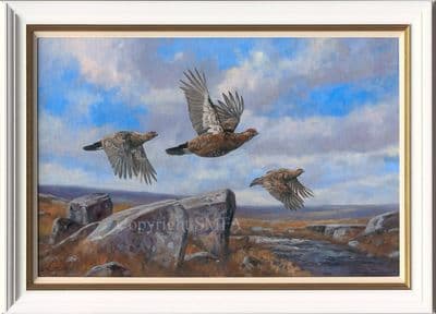 'August Flypast' SOLD original Grouse Painting by John Trickett