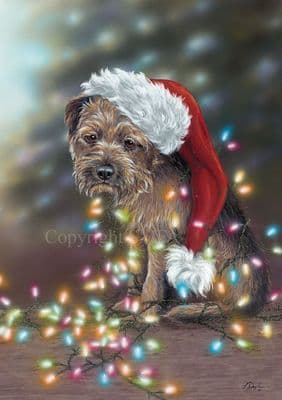 'Bah Humbug' Blank Border Terrier Card by Paul Doyle C337
