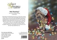 'Bah Humbug' Pack of 10 Border Terrier Christmas cards by Paul Doyle C337x
