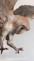 'Barn Owl' Original Ceramic Sculpture by Paul Doyle