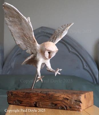 'Barn Owl' Original Ceramic Sculpture by Paul Doyle