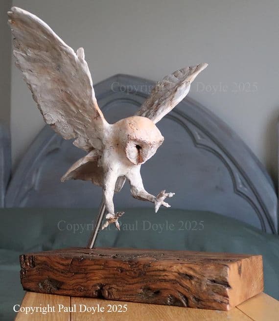 'Barn Owl' Original Ceramic Sculpture by Paul Doyle