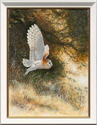 'Barn Owl' Original Oil Painting by Paul Doyle