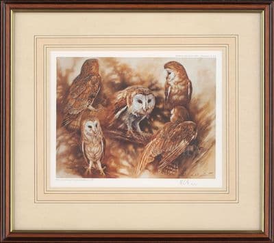 'Barn Owls' Ex-Display Wildlife Print by Mick Cawston