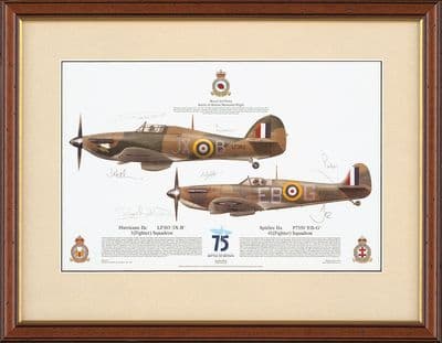 'Battle of Britain Memorial Flight' Spitfire and Hurricane Print