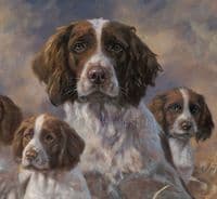 'Being Mum' Limited Edition Springer Spaniel Print by John Trickett
