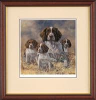 'Being Mum' Limited Edition Springer Spaniel Print by John Trickett