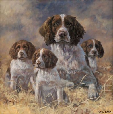 'Being Mum' Limited Edition Springer Spaniel Print by John Trickett