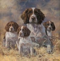 'Being Mum' original Springer Spaniel painting by John Trickett