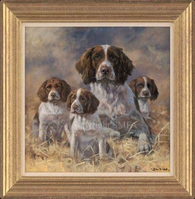 'Being Mum' original Springer Spaniel painting by John Trickett