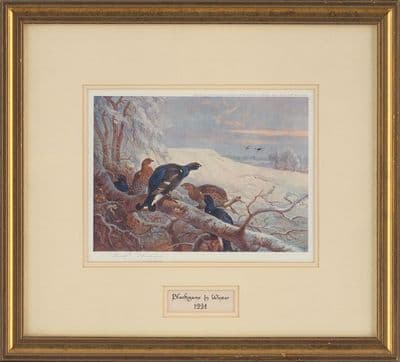 'Blackgame in Winter' Signed Print by Archibald Thorburn