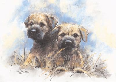 'Border Pups' Blank Greetings Card by Paul Doyle C614