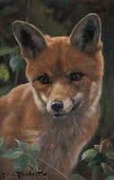'Charley' Original Fox Painting by John Trickett