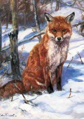 'Chilly Charlie' Fox Christmas Cards by John Trickett  C748x