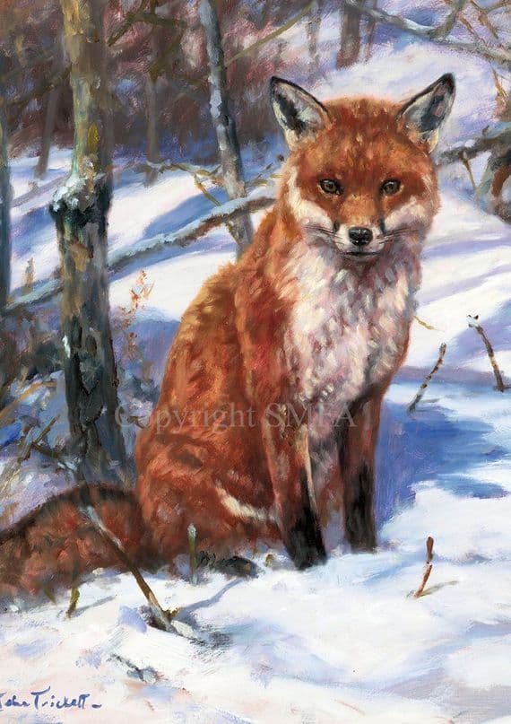 'Chilly Charlie' Fox Christmas Cards by John Trickett  C748x