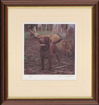 'Choc lab' Ex-Display Chocolate Labrador Print by David Barfield