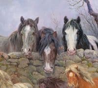'Coats of Many Colours' Original Oil on Canvas Heavy Horse Painting by Rosemary Sarah Welch
