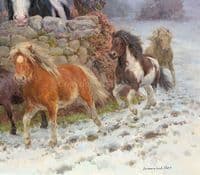 'Coats of Many Colours' Original Oil on Canvas Heavy Horse Painting by Rosemary Sarah Welch
