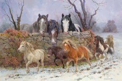 'Coats of Many Colours' Original Oil on Canvas Heavy Horse Painting by Rosemary Sarah Welch