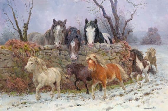 'Coats of Many Colours' Original Oil on Canvas Heavy Horse Painting by Rosemary Sarah Welch