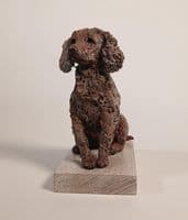 'Cocker Spaniel Study' Original Ceramic Sculpture by Paul Doyle