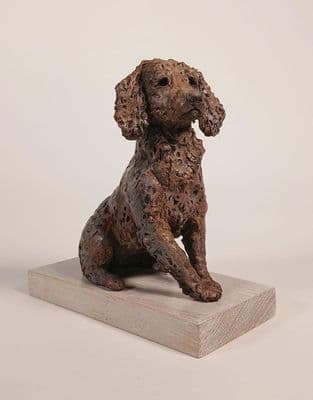 'Cocker Spaniel Study' Original Ceramic Sculpture by Paul Doyle