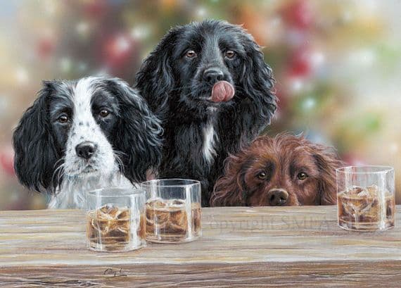 'Cocker Tails' Cocker Spaniel Blank Greetings Card by Paul Doyle C728