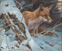 'Cold Thoughts' Original Fox Painting by John Trickett