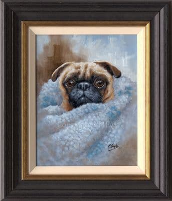 'Comfort' Original Oil painting of a Pug by Paul Doyle