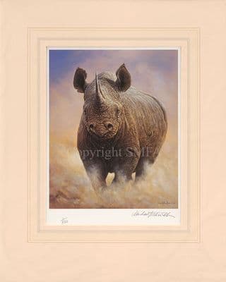 'Coming Through' Ex-Display Mounted Rhino Print by Michael Kitchen-Hurle