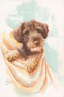 'Cover Blown' Original Wire Haired Dachshund Painting by Paul Doyle