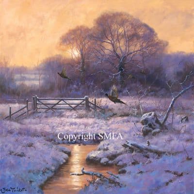 'December Evening' Pheasant Canvas Print by John Trickett