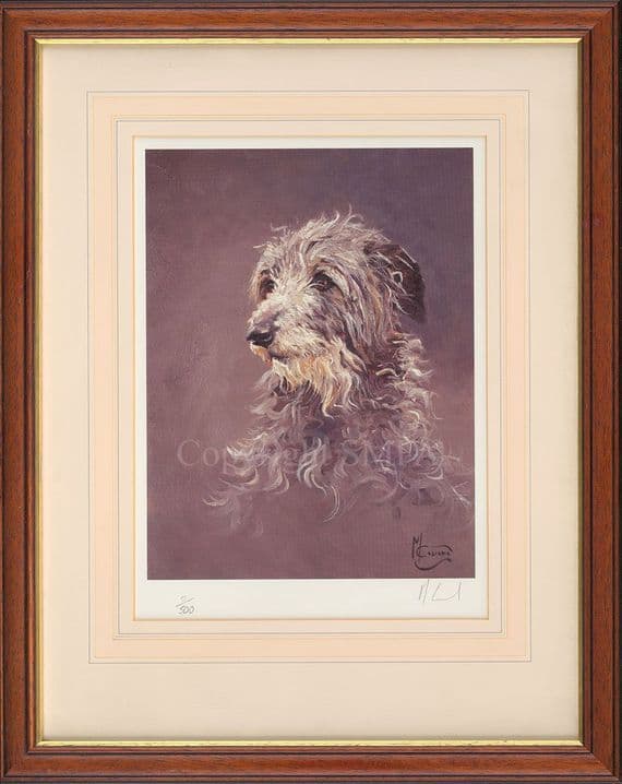 'Deerhound' Ex-Display Print by Malcolm Coward