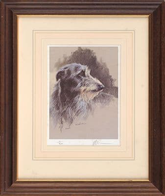 'Deerhound Head' Ex-Display Deerhound Print by Mick Cawston