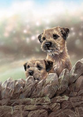 'Double Trouble' Blank Border Terrier Greetings Card by Paul Doyle