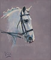 'Elegance' Original Horse Portrait by Malcolm Coward