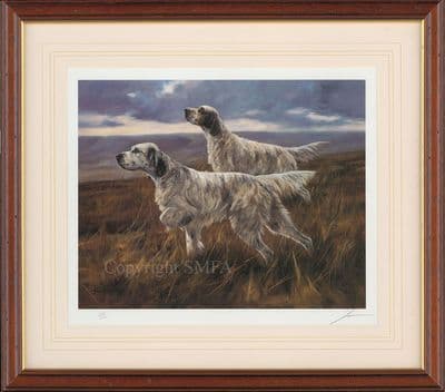 'English Setters' Ex-Display Framed Print by John Trickett