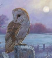 'Evenfall' Barn Owl Print by John Trickett