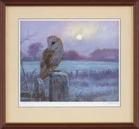 'Evenfall' Barn Owl Print by John Trickett