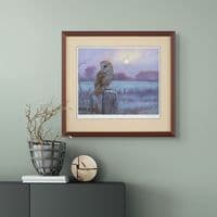 'Evenfall' Barn Owl Print by John Trickett