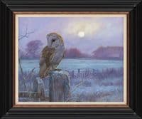 'Evenfall' Barn Owl Print by John Trickett