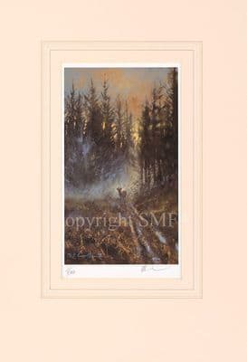 'Evening Mist' Ex-Display Roebuck Print by Mick Cawston