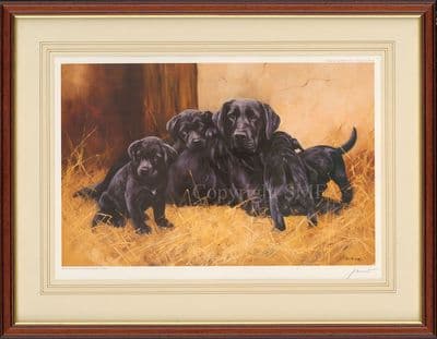 'Fatherhood' Ex-Display Black Labrador Print by John Trickett