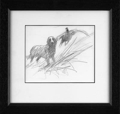 'Flushing' Original Springer Spaniel Pencil Sketch by Mick Cawston