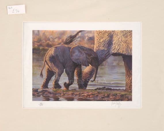 'Following Mum' Ex-Display Mounted Elephant Print by Paul Apps