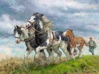'Following Mum' Heavy Horse Print by Rosemary Sarah Welch
