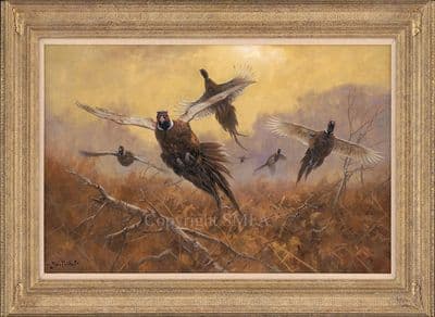 'Forward Flush' Original Pheasant Painting by John Trickett